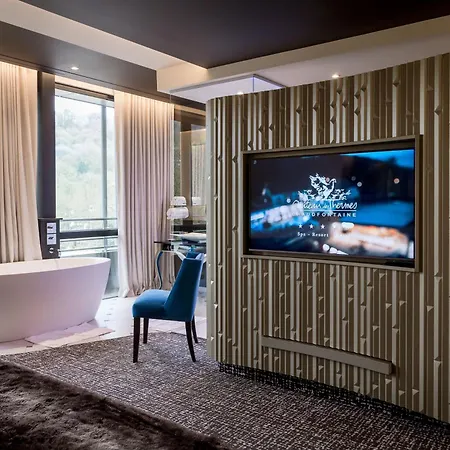 Le Chateau Des Thermes Otel Chaudfontaine